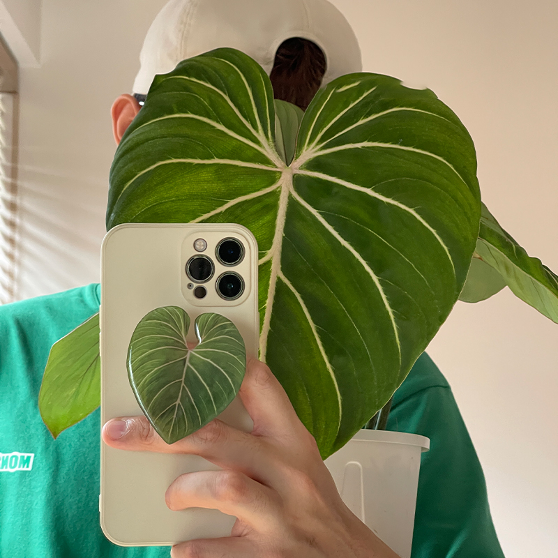 Cute Glossy Popular Simulation - Tech Accessories Phone recension och pris