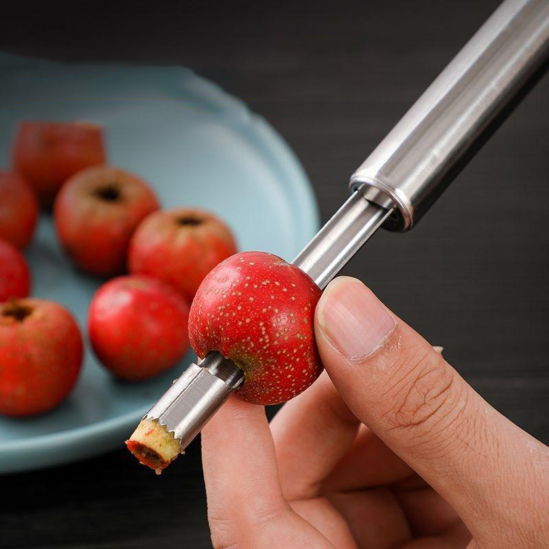 Stainless Steel Fruit Corer Ap - Tech Accessories And Gadgets recension och pris