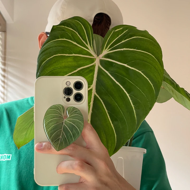 Glossy Simulation Leaf Phone H - Tech Accessories Phone recension och pris